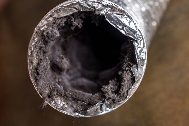 Best Ductwork Cleaning Services  in Benton, LA